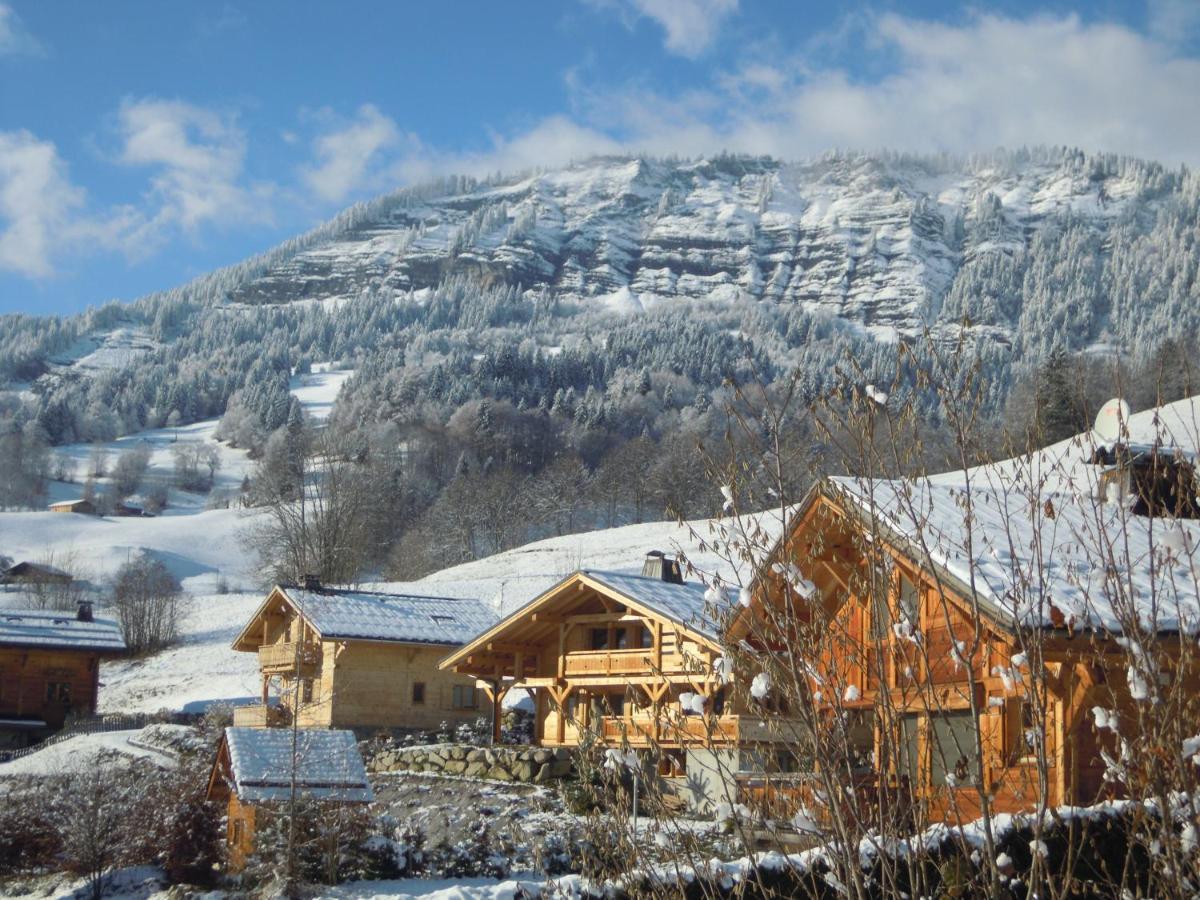 A4 Km De Megeve Tres Joli Studio Avec Jacuzzi ,Vue Sur Les Montagnes Au Calme Praz-sur-Arly Εξωτερικό φωτογραφία