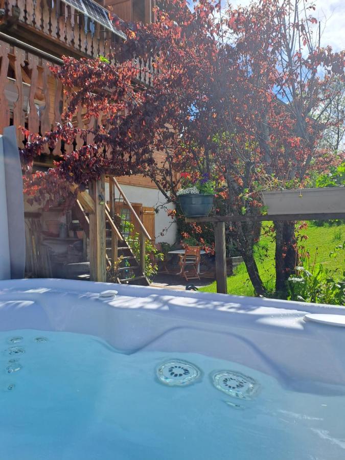 A4 Km De Megeve Tres Joli Studio Avec Jacuzzi ,Vue Sur Les Montagnes Au Calme Praz-sur-Arly Εξωτερικό φωτογραφία